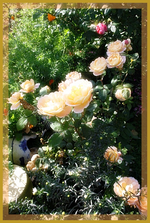 08.10 (10).webp