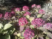 P031010_16.31.webp