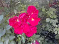 P101010_18.14.webp
