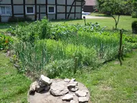 1.7.2010  (7).webp