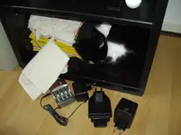 IMGP3278.webp