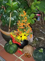 Garten 001.webp