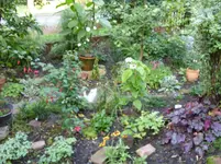 Garten 005.webp
