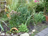 Garten 006.webp
