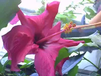 PICT0203.webp