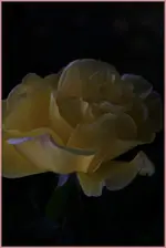 13.10 (2).webp