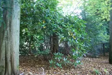 IMG_2523 - Kopie.webp