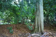 IMG_2524 - Kopie.webp