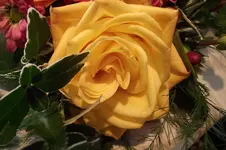 Garten 088.webp