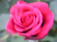08_10_10 012.webp