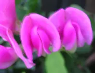 08_10_10 010.webp