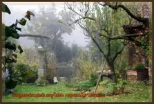 14.10 (5).webp
