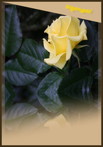 14.10 (6).webp