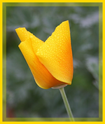 14.10 (8).webp