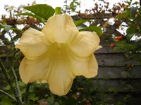 DSCN0298.webp