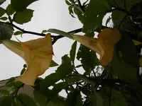 DSCN0300.webp