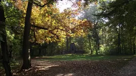 14.10.2010 001.webp