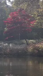 14.10.2010 020.webp