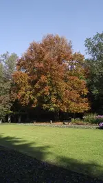 14.10.2010 037.webp