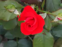 DSCF8302.webp
