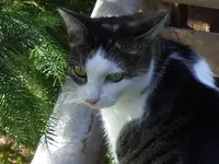 DSCF8408.webp