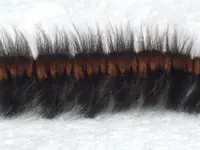 DSCF8374.webp