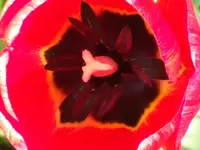 DSCF7392.webp