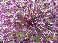 DSCF7709.webp