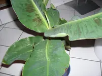 P1060400.webp