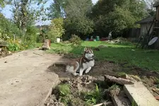 garten.webp