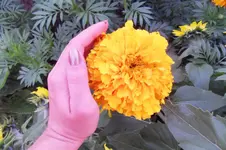 HeimAug 10-14.webp