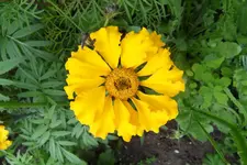HeimAug 10-15.webp