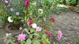 K800_Herbstbilder2010 089.webp