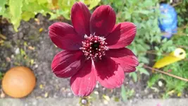 K800_Herbstbilder2010 080.webp