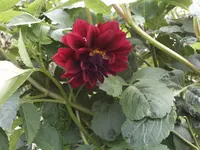02.06.2010 284.webp