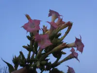 02.06.2010 387.webp