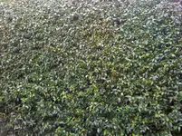 IMG_0327.webp