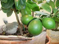 DSCF1500.webp