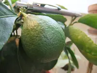DSCF1501.webp
