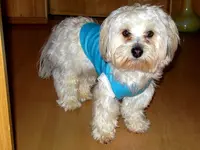 SDC12451.webp