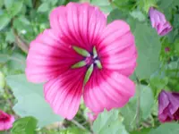 7.08.2010 041.webp