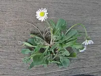 Oktober 10 012v.webp