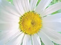 Oktober 10 043v.webp