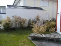 BILD0018.webp