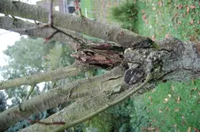 Importierte Fotos 00378.webp