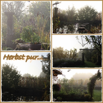 Herbst 2010.webp