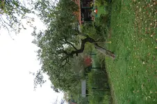 Importierte Fotos 00385.webp