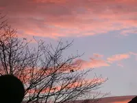37623.webp