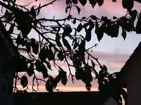 37624.webp