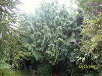 DSCI0089.webp